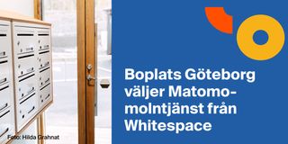 Boplats Göteborg väljer Matomo-molntjänst från Whitespace