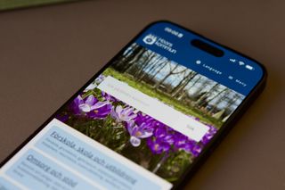 Mobiltelefon som visar webbplatsen för Höörs kommun, med blommande krokus i hjältebilden