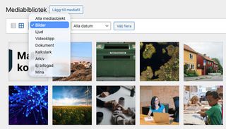 Bibliotek med bilder och dokument som visas i en översiktlig vy med tumnaglar