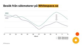 Besök från sökmotorer på Whitespace.se, 2024 jämfört med 2025