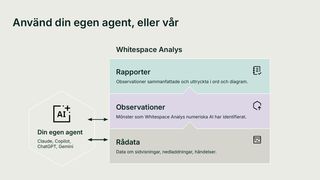 Diagram från webinaret: din egen agent, till exempel Claude, Copilot, ChatGPT eller Gemini, kan hämta rådata, observationer eller färdiga rapporter från Whitespace Analys